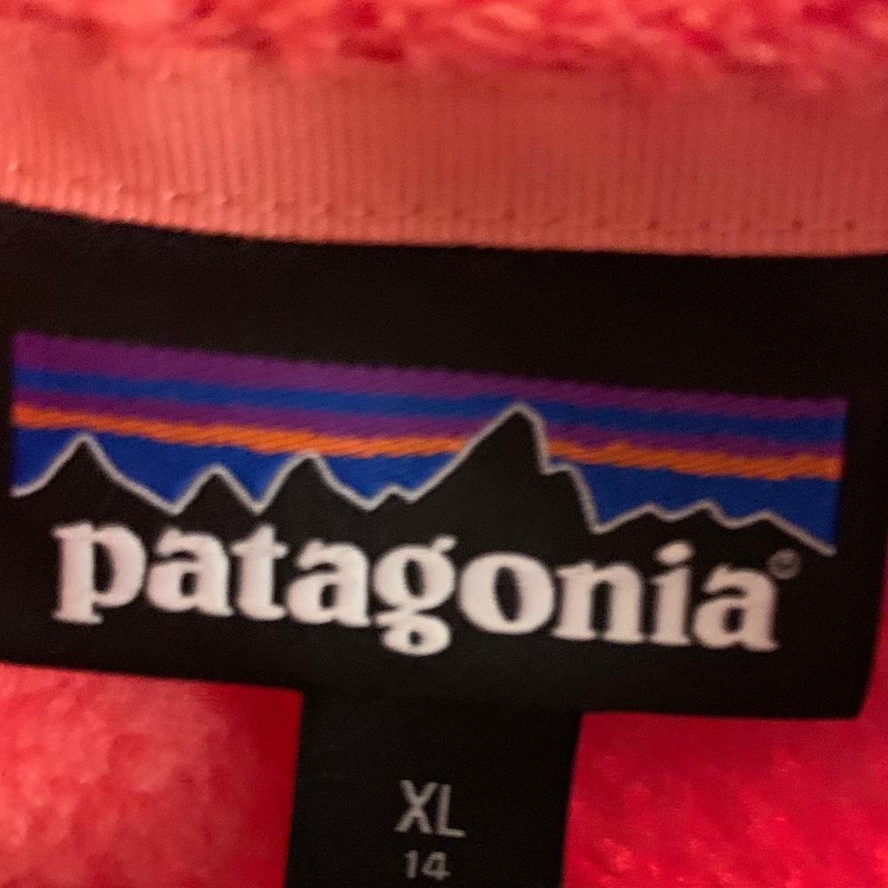 Patagonia fleece pullover - Picture 2 of 3